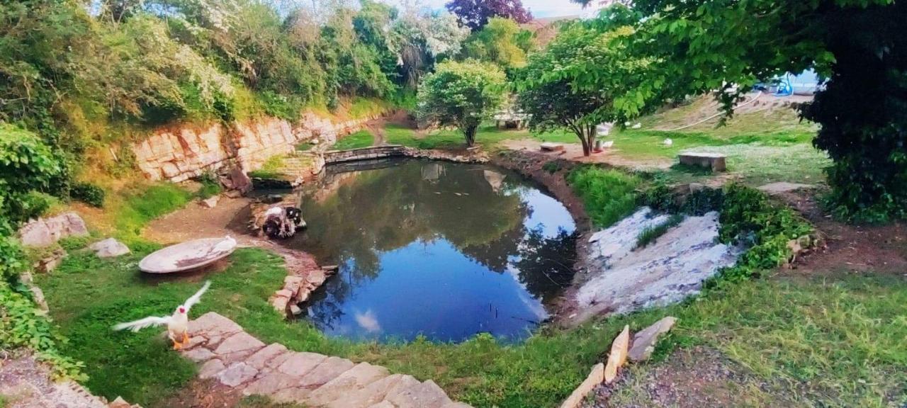 Studio Au Bord De L'Etang Laives Экстерьер фото
