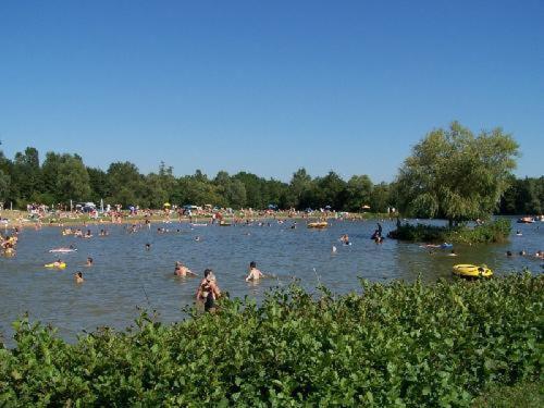 Studio Au Bord De L'Etang Laives Экстерьер фото
